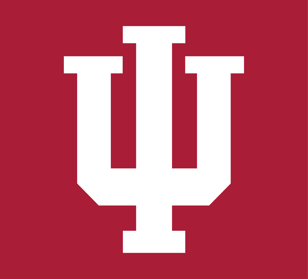 Indiana Hoosiers 2002-Pres Alternate Logo v2 iron on transfers for clothing